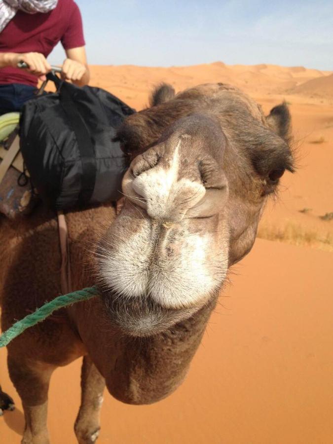 Desert Camel Trekking Camp Merzouga Eksteriør bilde