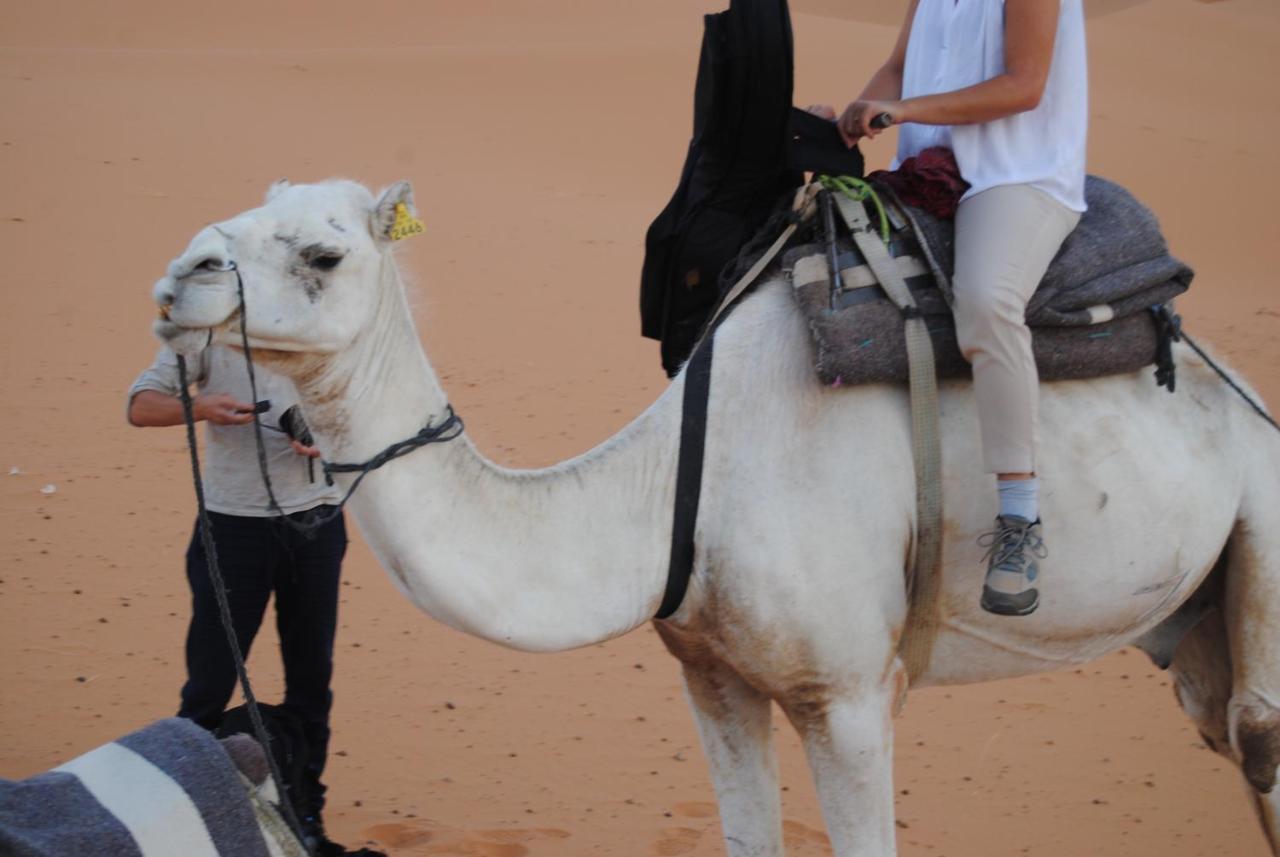 Desert Camel Trekking Camp Merzouga Eksteriør bilde