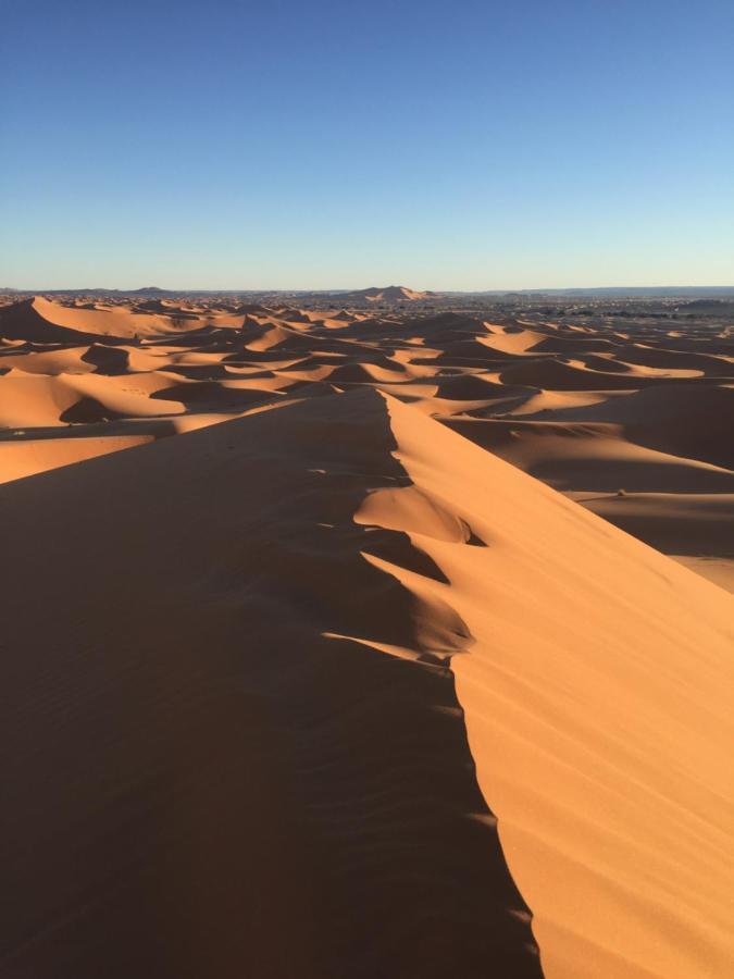 Desert Camel Trekking Camp Merzouga Eksteriør bilde